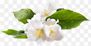 ���崴����Ӱ��ɫ������-������