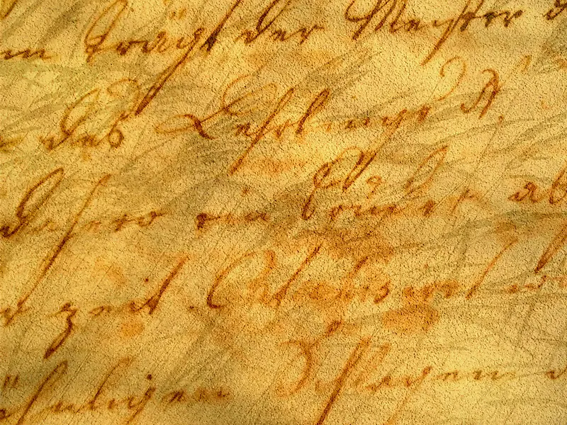 �������屳��-������