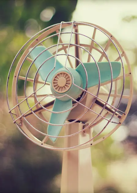 ���շ��ȿɰ�С��-������