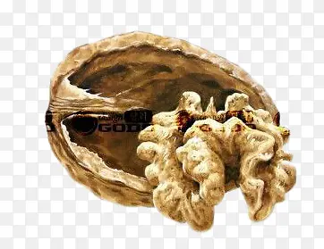 ����-������