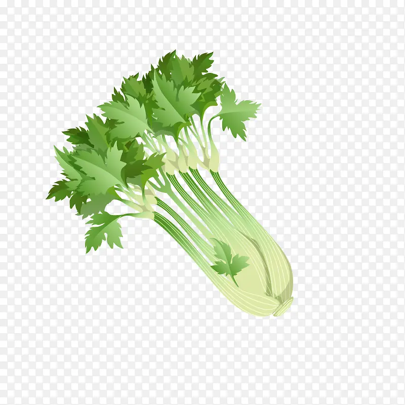 �ֻ��۲�-������