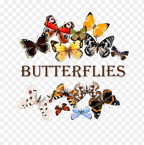 ������ǩ-������