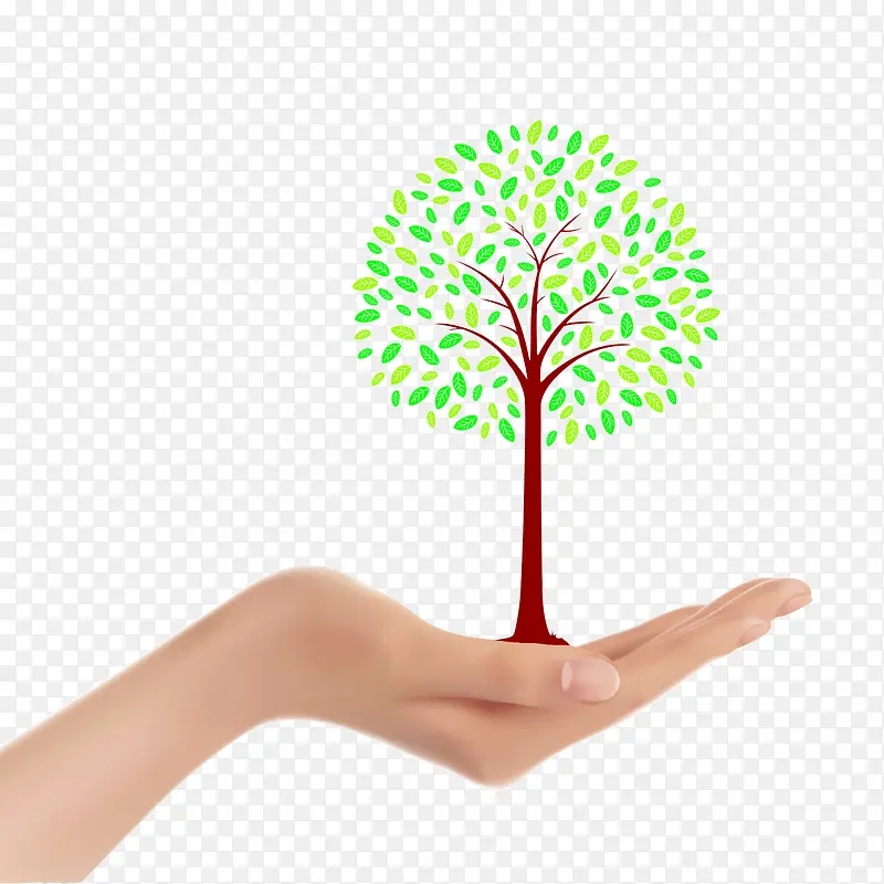 ��������ʵ��ͼƬ-������