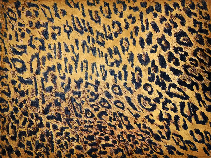 ���ɱ��Ʊ���ͼ��-������