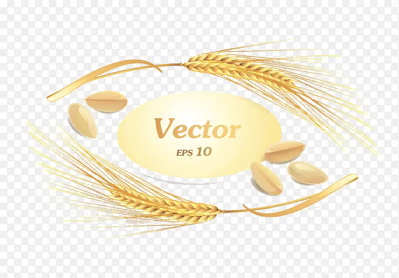 �����ز�-������