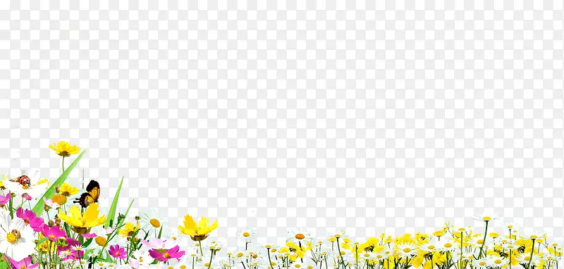 ��ɫҰ�⻨��װ��-������