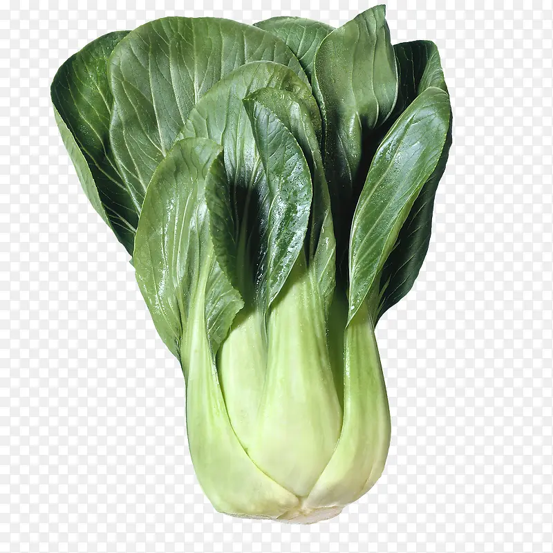 �����ɫ�Ϻ���-������