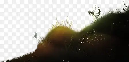 ����ͼ��-������