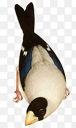 �������������-������