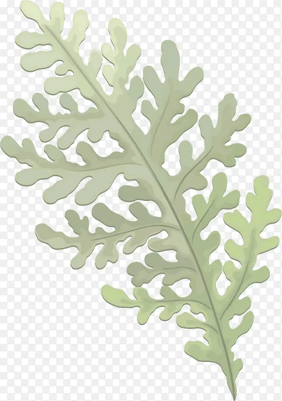 ʸ���ɰ�Ҷ��-������