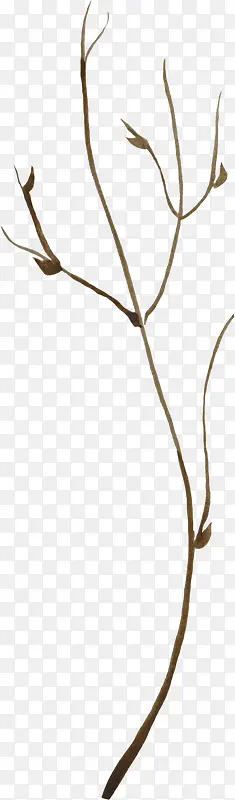 �ֻ����֦-������