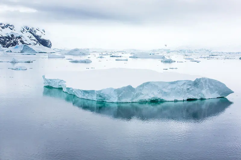 ������������ӰЧ��-������