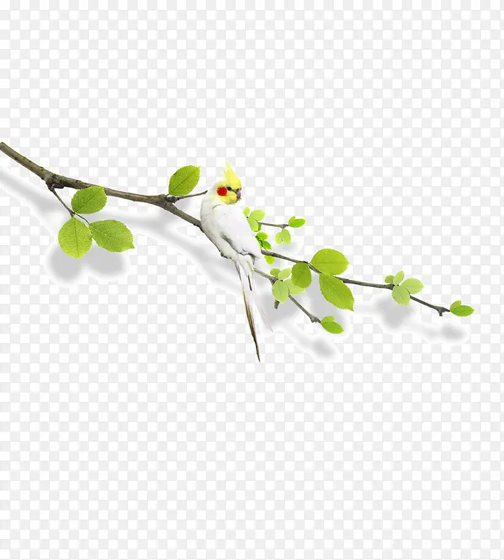 �����ز�-������