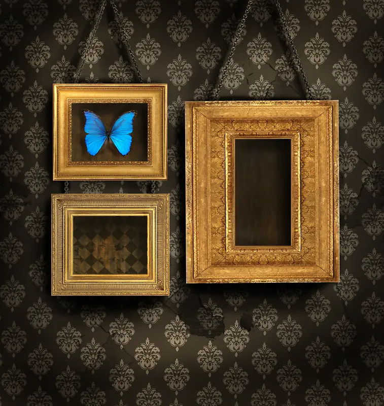 ������װ�����߿�-������