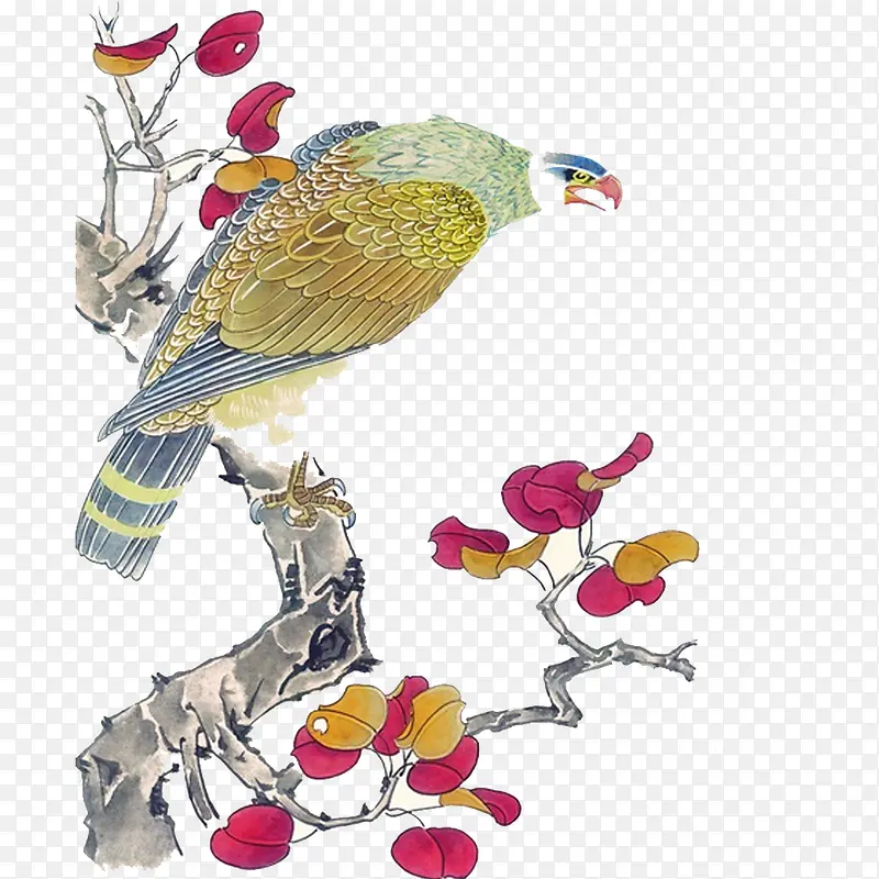 ��֦�ϵ�ӥ���ʻ�ͼƬ-������