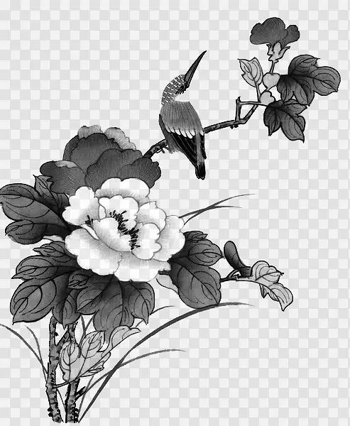 ��֦-������