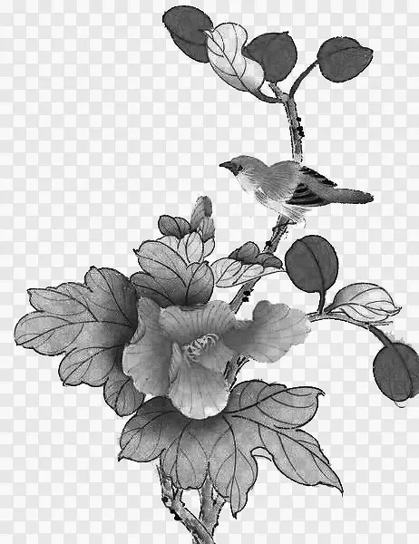 ��֦-������