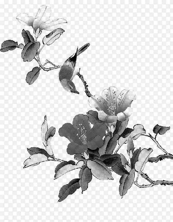 ��֦-������