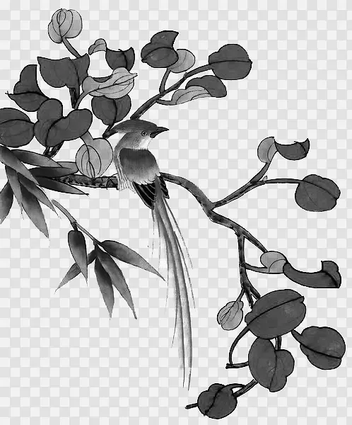 ��֦-������