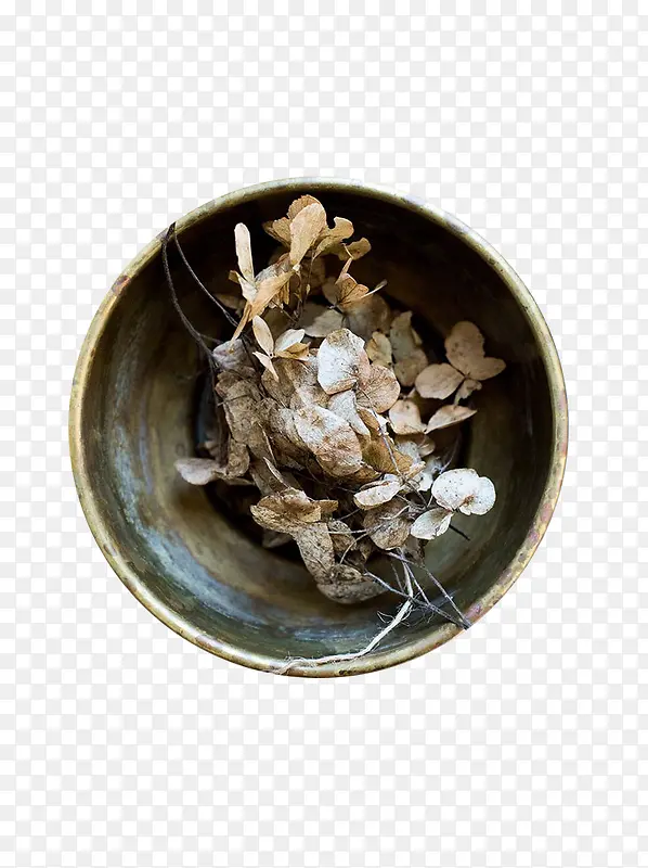 ����ĸɻ���֦-������