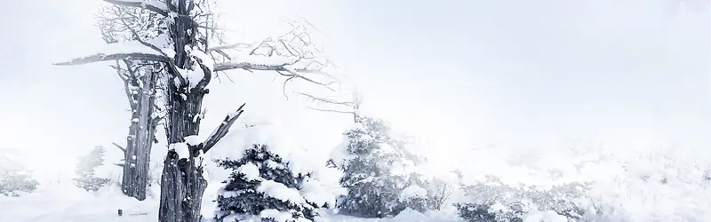 �ɿݵ���֦ѩ��ѩ��-������