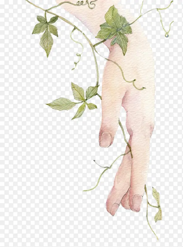 �廭��ϸ����-������