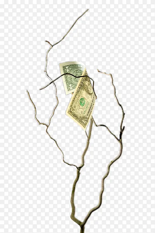 ������֦�ϵ�Ǯ��-������