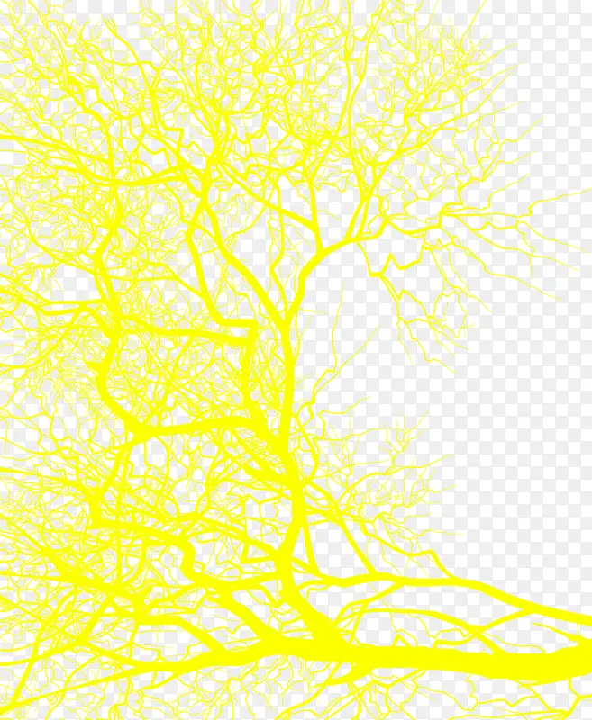 ��ɫ�ܼ���֦��Ʒ-������