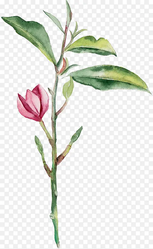 ˮ�ʲ軨-������