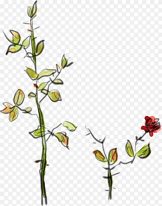 �����ֻ�С����-������