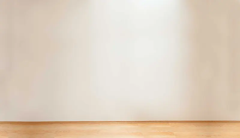 �����Ч����ʸ���ز�-������