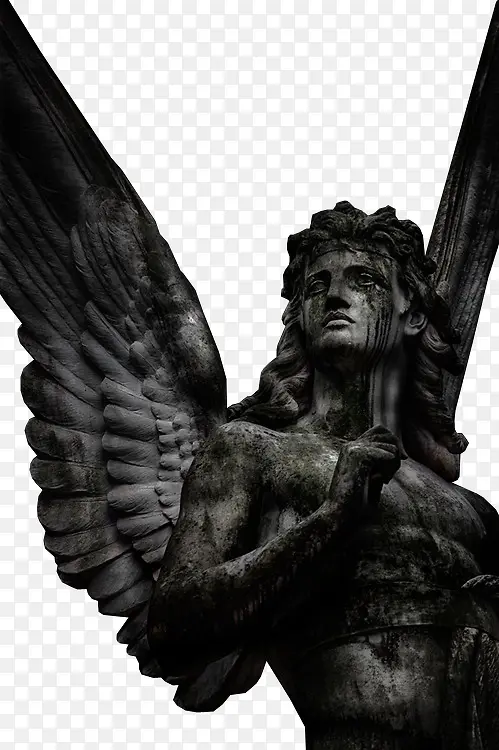 ��ɫ����-������