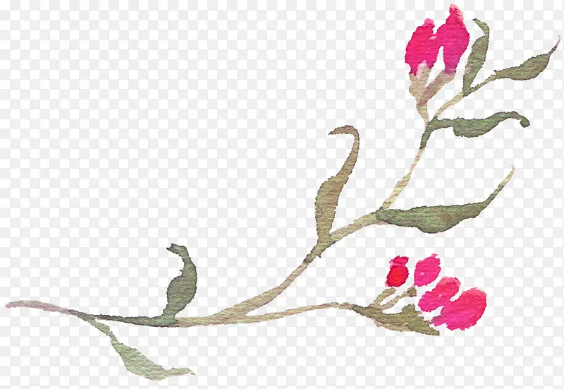 ��ɫ����-������