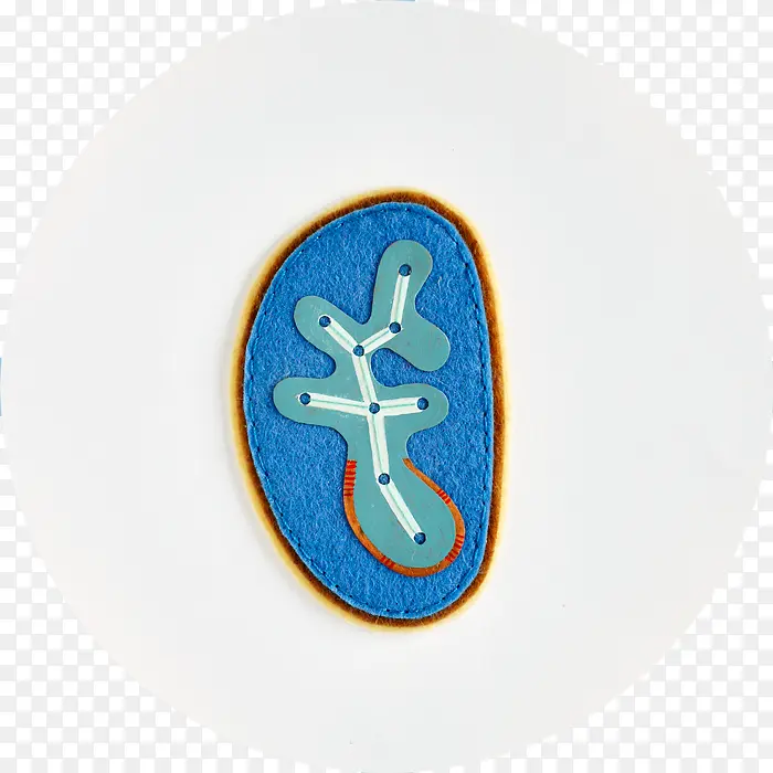 ���Ⲽ������Ʒ.-������