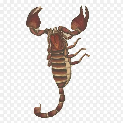 Ы���ֻ滭�ز�ͼƬ-������