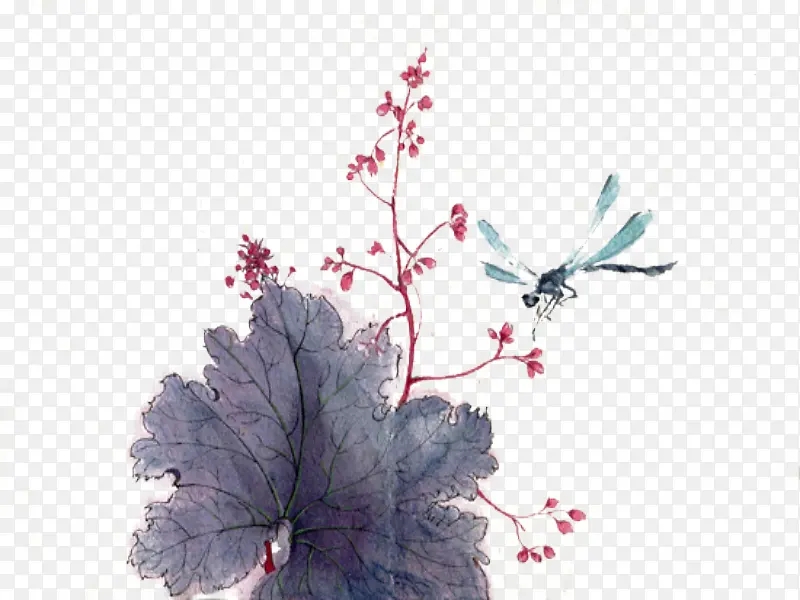 ˮ�ʻ�������Ҷ-������