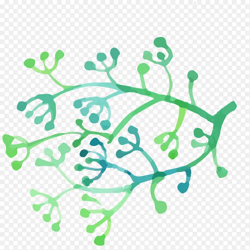 ˮ�ʻ� ֲ��  ���� �ֻ� ��Ҷ-������