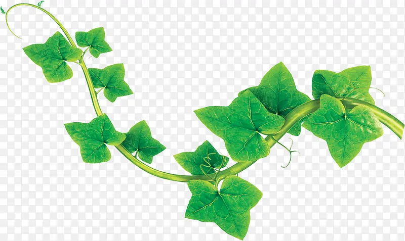 ��Ӱ��ɫ����Ч���ͼ-������