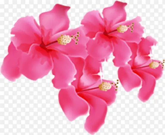 ��Ӱ�������ɫ�������-������