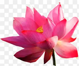 ��ӰŮװ���������Ч��-������