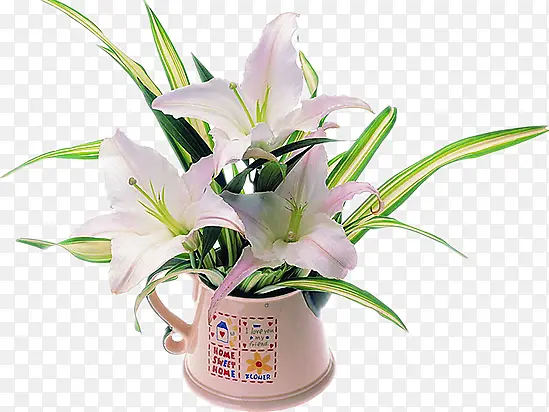 �ٺϻ�����-������