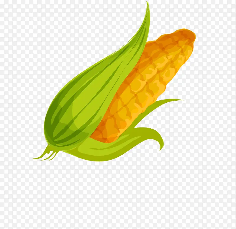 �ֻ�����-������