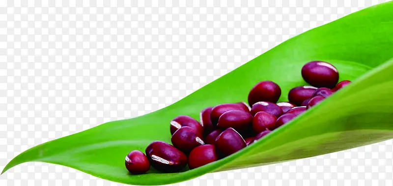 ��ɫ��Ҷ�춹����-������