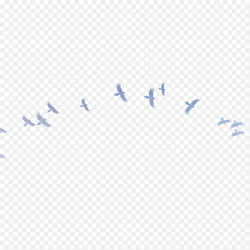 ϲȵ-������