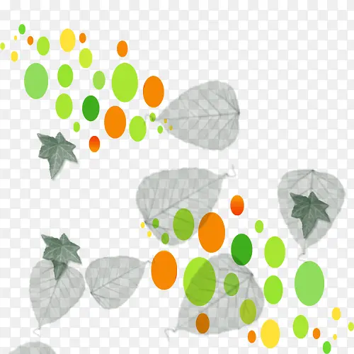 �ɰ�Сɢ��װ��-������