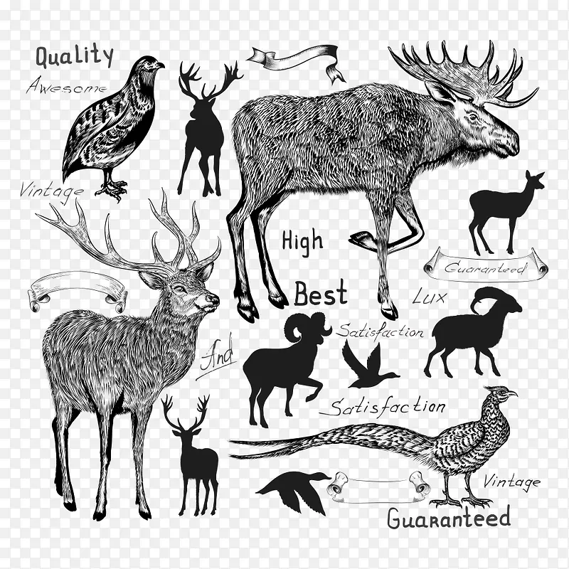 ��������-������