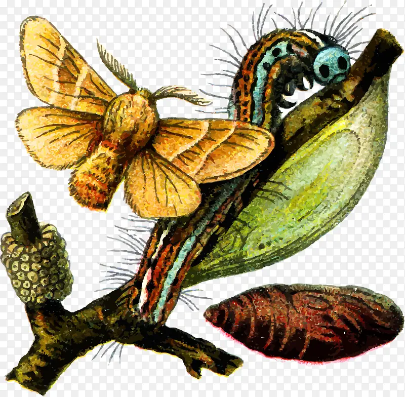 ������ëë��-������