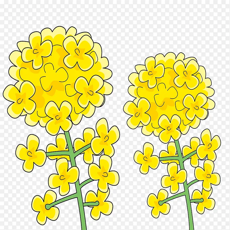 �ֻ濨ͨ��ɫ�Ͳ˻�-������