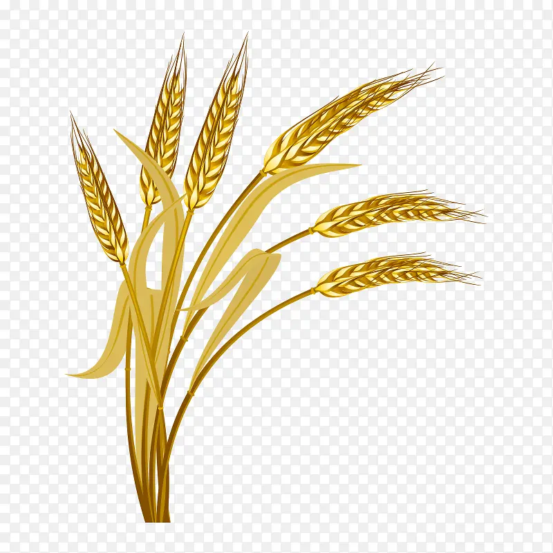 ���� �廭-������