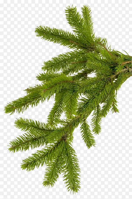 ����-������